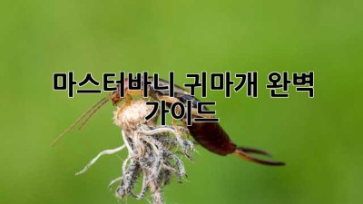 마스터바니 귀마개 완벽 가이드